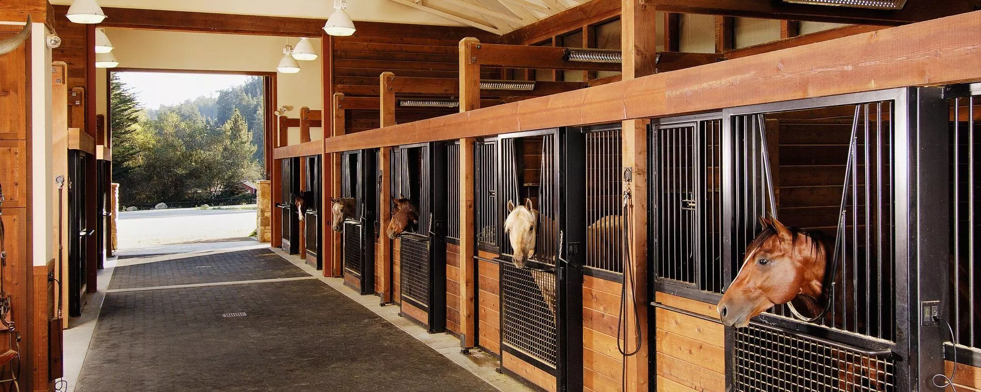 COMMERCIAL HORSE PROPERTIES<br />
