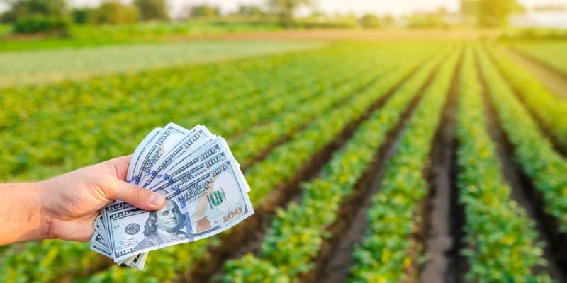 Calculate True Loan Cost Beyond the Headline Rate Calculate True Loan Cost Beyond the Headline Rate