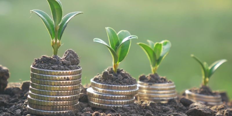 Understand the Main Types of Farm Loans