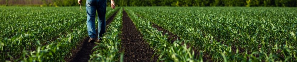 How to Choose the Right Farm Loan to Make Your Agricultural Business Grow!