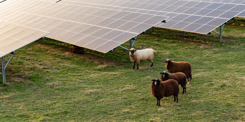 Environmental Sustainability Environmental Sustainability
