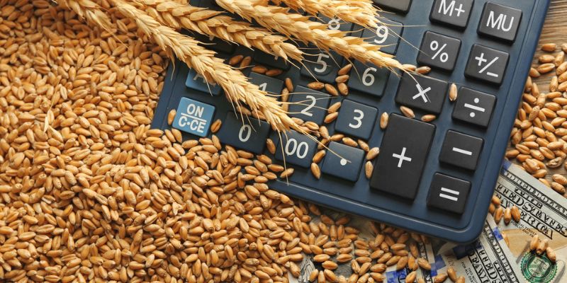 Key Farm Loan Requirements for Approval<br />
