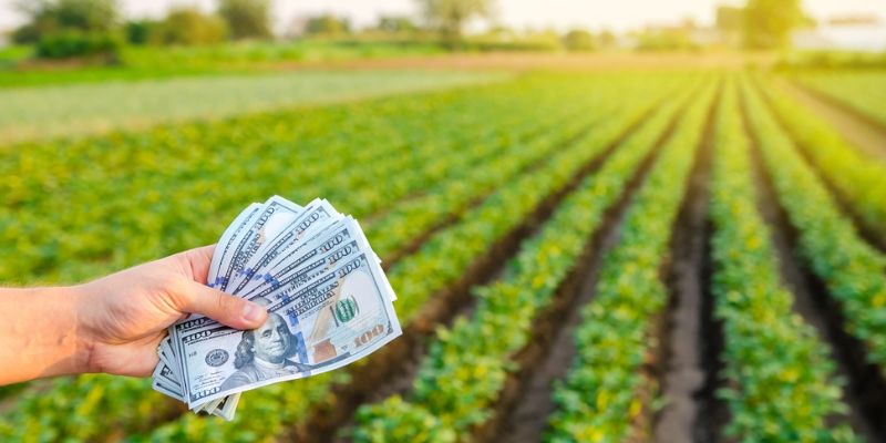 Agricultural Loans