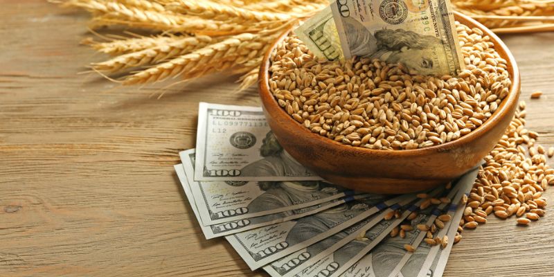 How To Apply For A Farm Loan