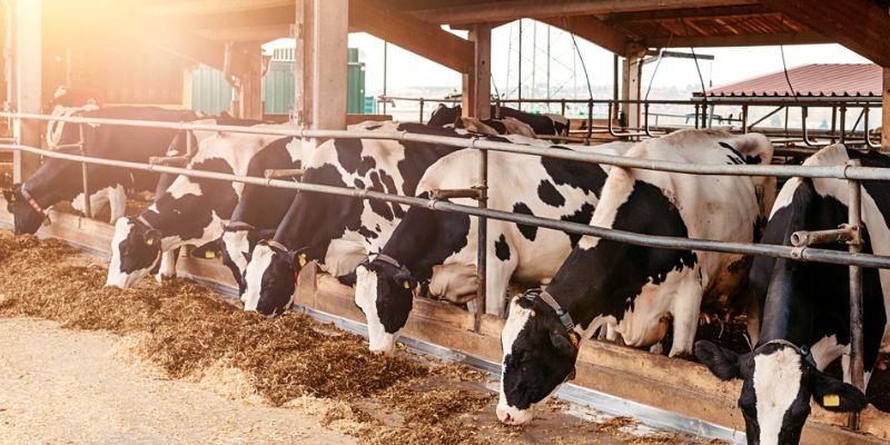 Key Differences Between Farm Loans And Ranch Loans