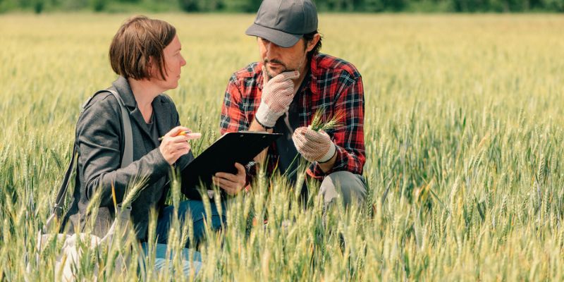 Tips To Get Approved For Your First Farm Loan