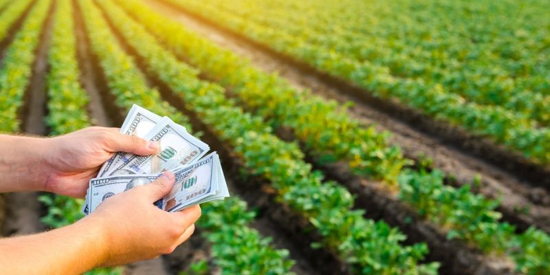 Types Of Farm Loans And Programs