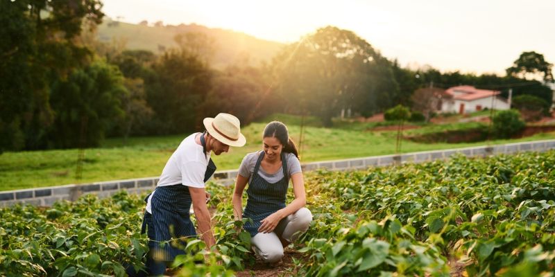 What Is A Farm Loan