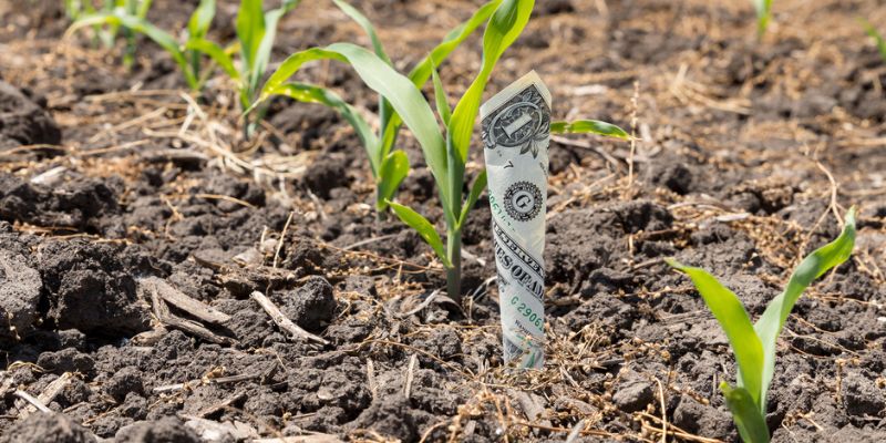 Key Components Of A Farm Budget