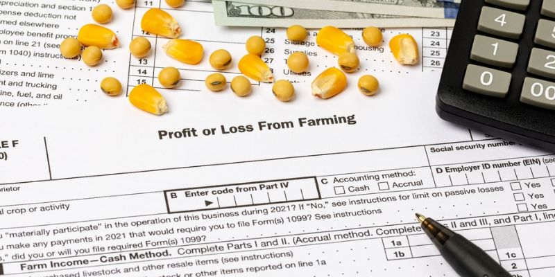 The Ultimate Guide for Creating a Farm Budget in 2025